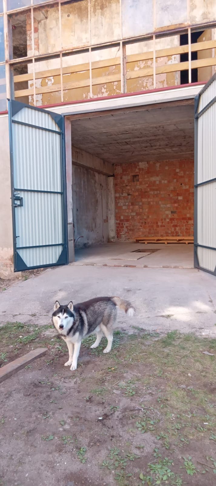 Zdjęcie oferty